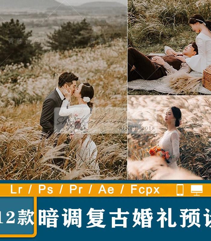 12 Tone Màu Nâu Retro Dành Cho Ảnh Cưới Phong Cách Hàn Quốc (XMP/LR/DNG/CUBE)