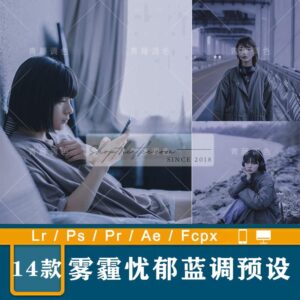 14 Tone Màu Tím U Sầu Phong Cách Film Nhật Bản Mới Nhất 2023 (XMP/LR/DNG/CUBE)