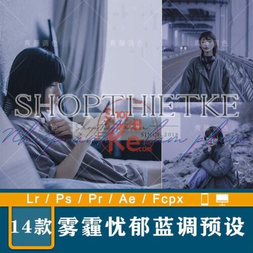 14 Tone Màu Tím U Sầu Phong Cách Film Nhật Bản Mới Nhất 2023 (XMP/LR/DNG/CUBE)