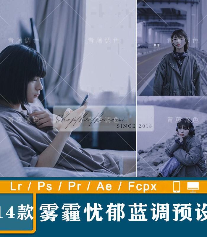 14 Tone Màu Tím U Sầu Phong Cách Film Nhật Bản Mới Nhất 2023 (XMP/LR/DNG/CUBE)