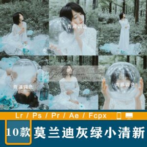 10 Tone Màu Xám Xanh Tâm Trạng Dành Cho Ảnh Chân Dung Ngoài Trời (XMP/DNG/CUBE)