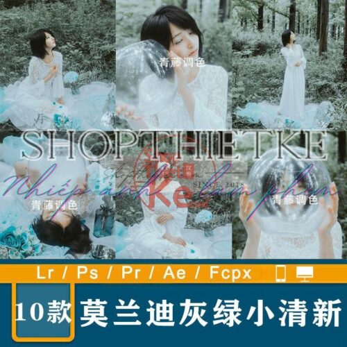 10 Tone Màu Xám Xanh Tâm Trạng Dành Cho Ảnh Chân Dung Ngoài Trời (XMP/DNG/CUBE)