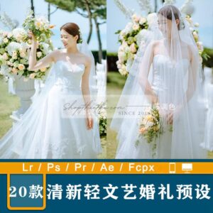 20 Tone Màu Tươi Mới Và Nhẹ Nhàng Thích Hợp Ảnh Cưới Ngoại Cảnh (XMP/LR/DNG/CUBE)