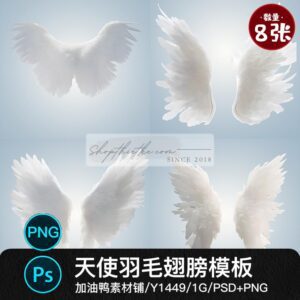 08 Mẫu Đôi Cánh Nữ Thần Sắc Nét Ghép Ảnh Đẹp Bao Phê (PSD/PNG/JPG)