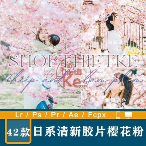 42 Tone Màu Tươi Tắn Dành Cho Ảnh Chụp Với Hoa Anh Đào Mùa Xuân (XMP/DNG/CUBE)