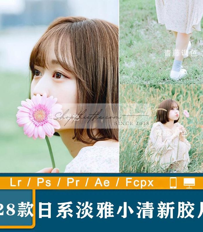 28 Tone Màu Thanh Lịch Và Mềm Mại Dành Cho Ảnh Chân Dung Ngoại Cảnh (XMP/DNG/CUBE)