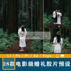 28 Tone Màu Film Rừng Núi Dành Cho Ảnh Cưới Phong Cách China (XMP/DNG/CUBE)