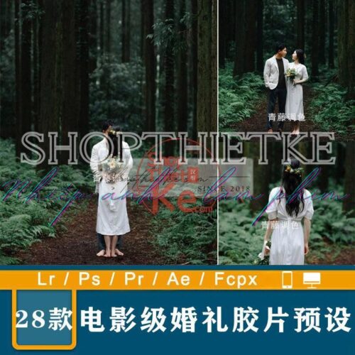 28 Tone Màu Film Rừng Núi Dành Cho Ảnh Cưới Phong Cách China (XMP/DNG/CUBE)