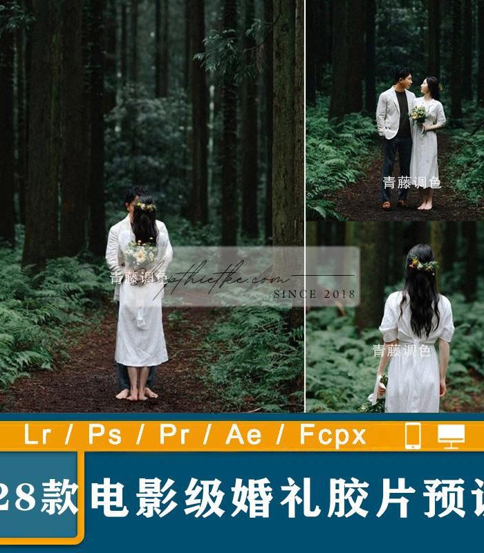28 Tone Màu Film Rừng Núi Dành Cho Ảnh Cưới Phong Cách China (XMP/DNG/CUBE)