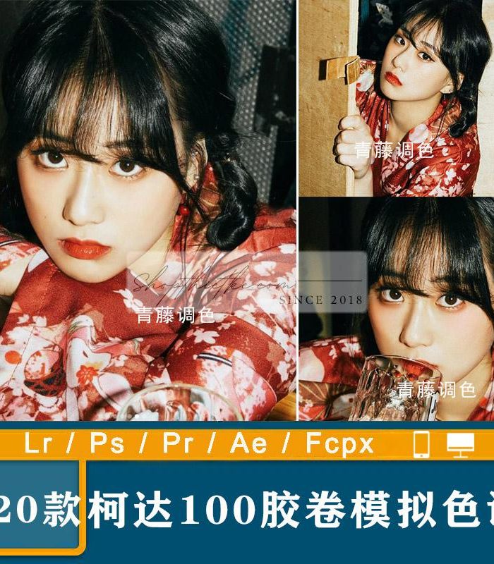 20 Tone Màu Film Analog Kodak 100 Cho Ảnh Chân Dung Kiểu Nhật Bản (XMP/DNG/CUBE)