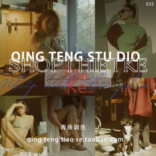 06 Cài Đặt Trước Giả Lập Film Polaroid 600 V3 Chuyên Nghiệp Cho Ảnh Chân Dung (XMP/DNG/CUBE)