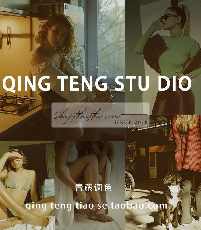 06 Cài Đặt Trước Giả Lập Film Polaroid 600 V3 Chuyên Nghiệp Cho Ảnh Chân Dung (XMP/DNG/CUBE)