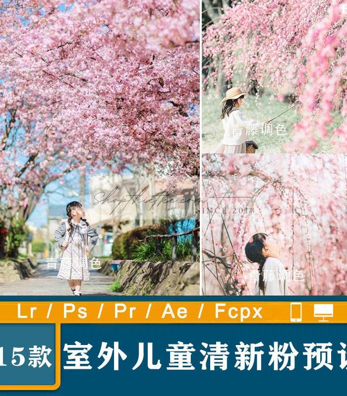 15 Tone Màu Mùa Xuân Chụp Với Hoa Anh Đào, Tone Màu Trong Trẻo (XMP/DNG/CUBE)