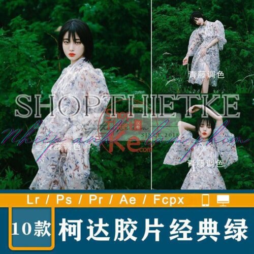 10 Cài Đặt Trước Kodak Phim Cổ Điển Nổi Bật Tone Xanh Dành Cho Ảnh Chân Dung (XMP/DNG/CUBE)