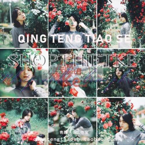 15 Tone Màu Film Chân Dung Dành Cho Ảnh Chụp Vườn Hoa, Thiên Nhiên (XMP/DNG/CUBE)