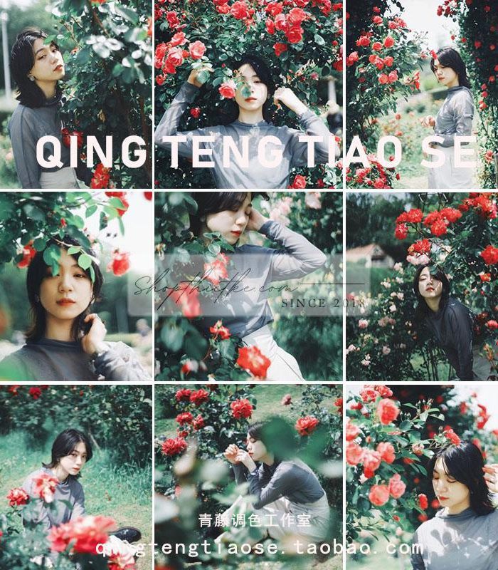 15 Tone Màu Film Chân Dung Dành Cho Ảnh Chụp Vườn Hoa, Thiên Nhiên (XMP/DNG/CUBE)