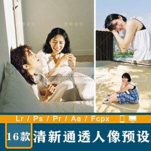 16 Tone Màu Văn Học Nhật Bản Thích Hợp Ảnh Chân Dung (XMP/DNG/CUBE)