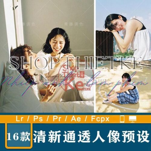 16 Tone Màu Văn Học Nhật Bản Thích Hợp Ảnh Chân Dung (XMP/DNG/CUBE)