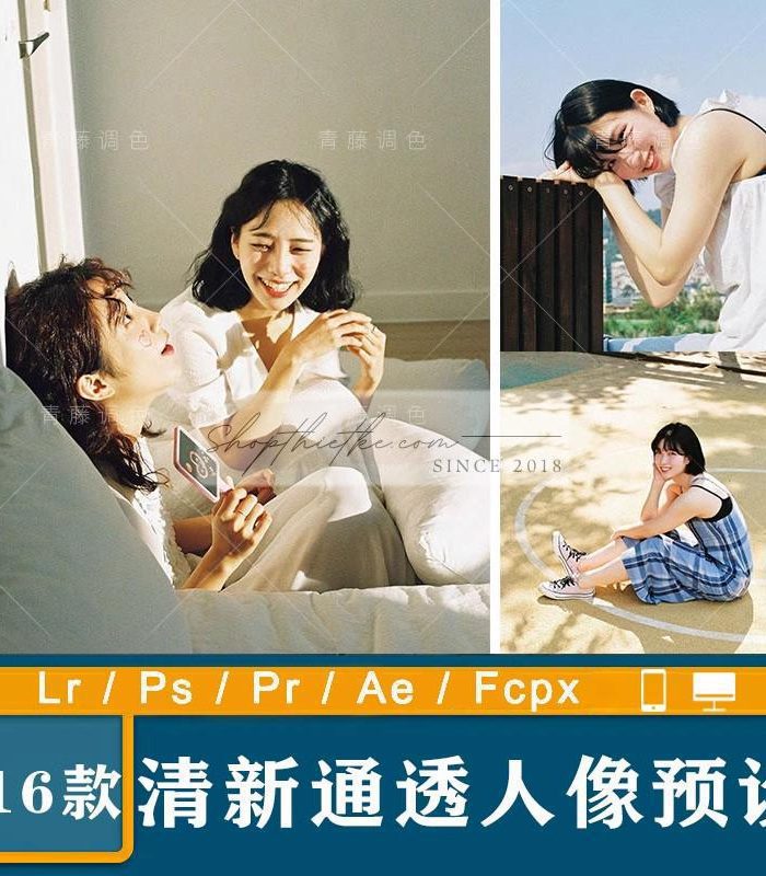 16 Tone Màu Văn Học Nhật Bản Thích Hợp Ảnh Chân Dung (XMP/DNG/CUBE)