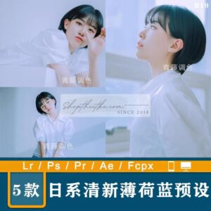 05 Tone Màu Xanh Bạc Hà Tươi Mát Thích Hợp Ảnh Chụp Studio Trong Nhà (XMP/DNG/CUBE)