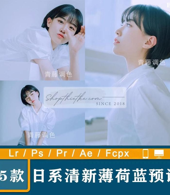 05 Tone Màu Xanh Bạc Hà Tươi Mát Thích Hợp Ảnh Chụp Studio Trong Nhà (XMP/DNG/CUBE)