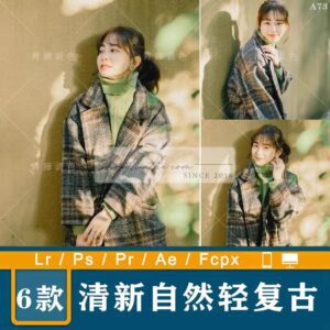 06 Tone Màu Trong Lành Với Ánh Sáng Tự Nhiên Phong Cách Hàn Quốc (XMP/DNG/CUBE)