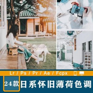 24 Tone Màu Film Cổ Điển Nhật Bản Thích Hợp Ảnh Chân Dung Ngoài Trời (XMP/DNG/CUBE)