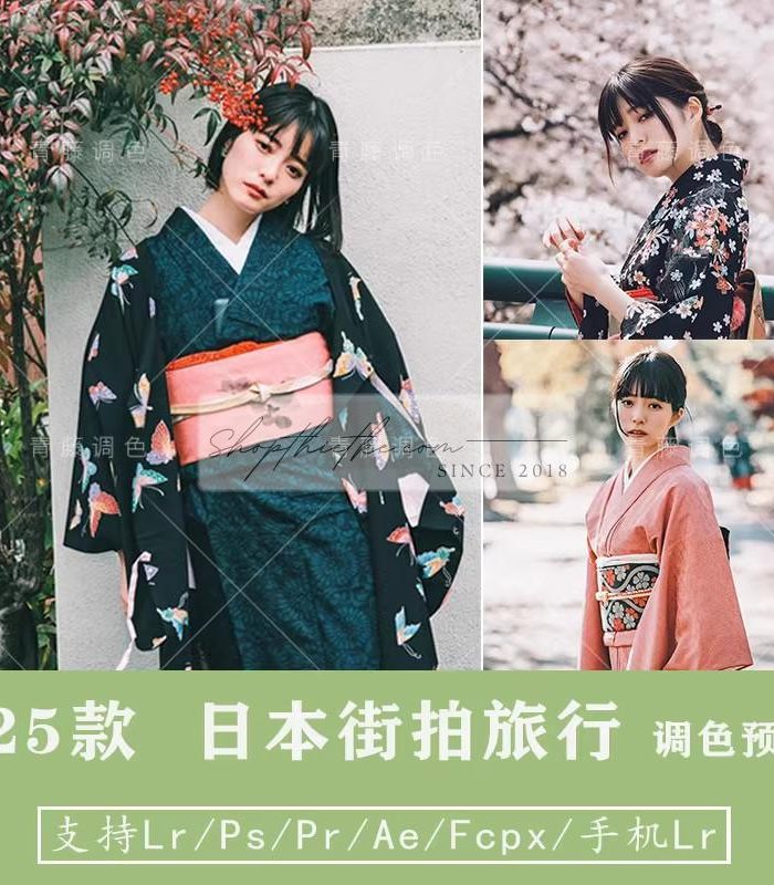 25 Tone Màu Film Nhẹ Nhàng Phong Cách Nhật Bản Cập Nhật 2023 (XMP/DNG/CUBE)
