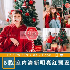 05 Tone Màu Thích Hợp Ảnh Chụp Chân Dung Mùa Noel 2023 (XMP/LR/DNG/CUBE)