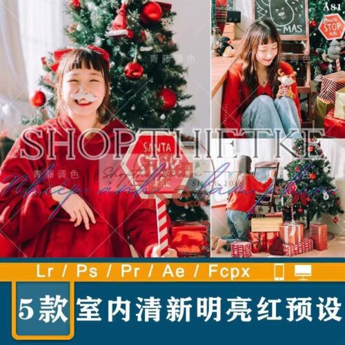 05 Tone Màu Thích Hợp Ảnh Chụp Chân Dung Mùa Noel 2023 (XMP/LR/DNG/CUBE)