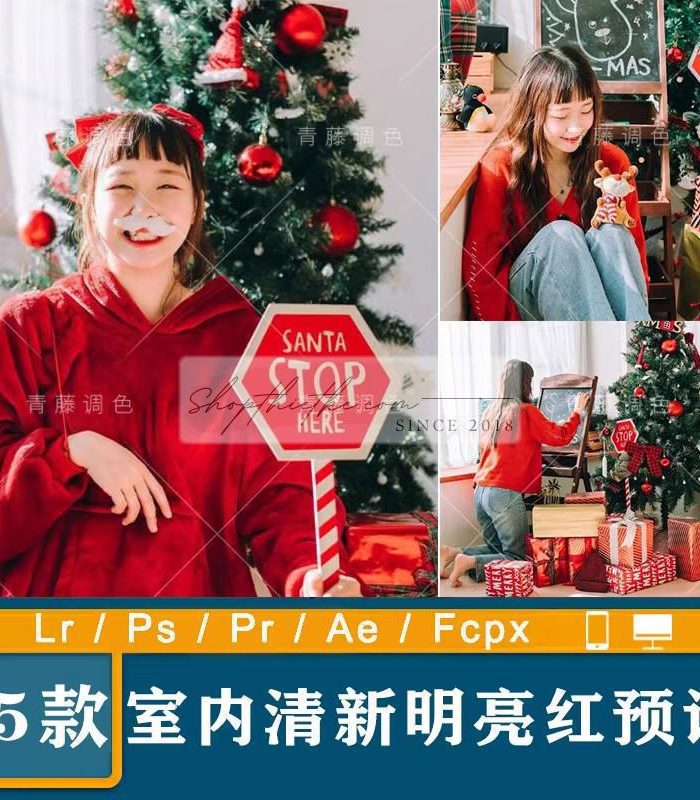 05 Tone Màu Thích Hợp Ảnh Chụp Chân Dung Mùa Noel 2023 (XMP/LR/DNG/CUBE)