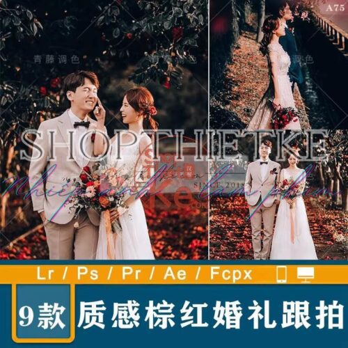 09 Tone Màu Film Nhẹ Nhàng Cho Ảnh Cưới Ngoại Cảnh Phong Cách China (XMP/LR/DNG/CUBE)