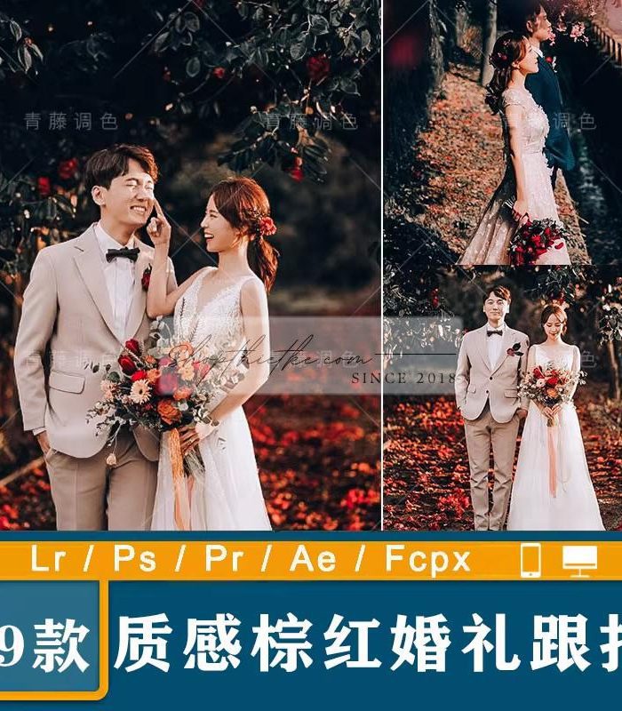 09 Tone Màu Film Nhẹ Nhàng Cho Ảnh Cưới Ngoại Cảnh Phong Cách China (XMP/LR/DNG/CUBE)