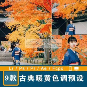 09 Tone Màu Mùa Thu Phong Cách Hàn Quốc Chụp Với Cổ Phục (XMP/LR/DNG/CUBE)