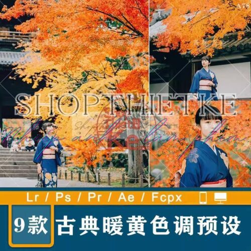 09 Tone Màu Mùa Thu Phong Cách Hàn Quốc Chụp Với Cổ Phục (XMP/LR/DNG/CUBE)