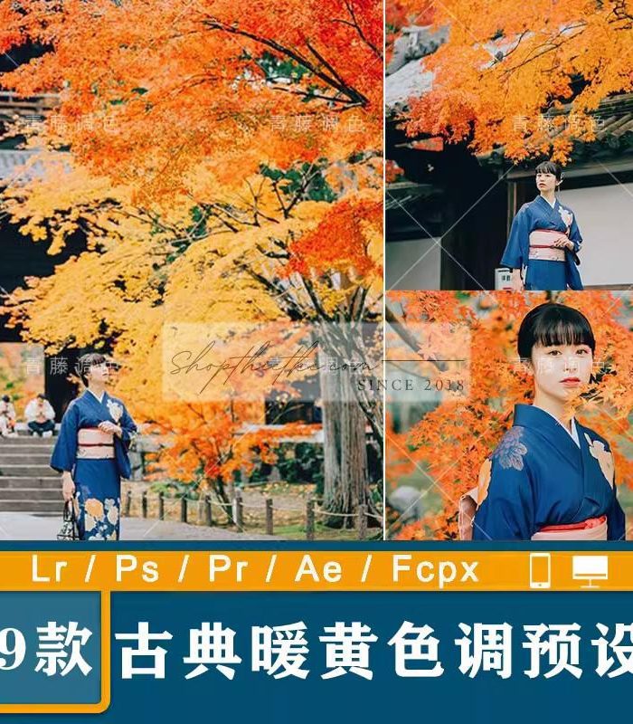 09 Tone Màu Mùa Thu Phong Cách Hàn Quốc Chụp Với Cổ Phục (XMP/LR/DNG/CUBE)