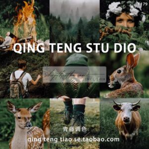 05 Tone Màu Xanh Đậm Chụp Ảnh Rừng Núi Cực Chill Mà Bạn Cần Phải Có (XMP/DNG/CUBE)