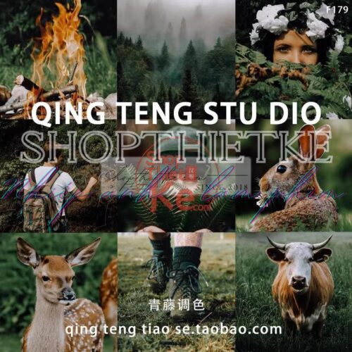 05 Tone Màu Xanh Đậm Chụp Ảnh Rừng Núi Cực Chill Mà Bạn Cần Phải Có (XMP/DNG/CUBE)