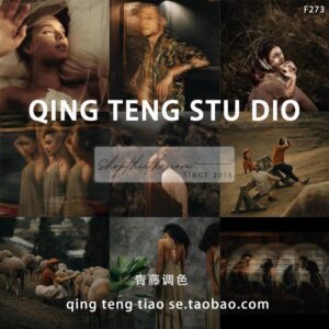 05 Tone Màu Nâu Văn Học Nước Pháp Cực Kì Ấn Tượng (XMP/DNG/CUBE)