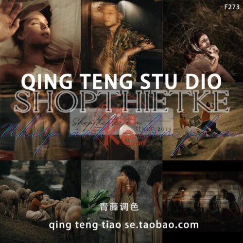 05 Tone Màu Nâu Văn Học Nước Pháp Cực Kì Ấn Tượng (XMP/DNG/CUBE)