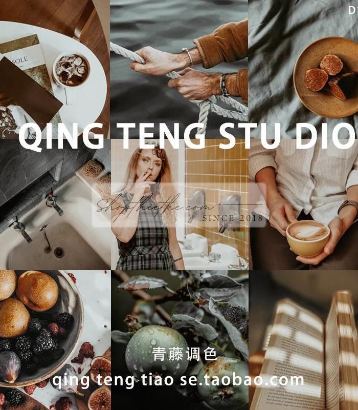 04 Tone Màu Nâu Retro Nhẹ Nhàng Thích Hợp Nhiều Thể Loại Ảnh (XMP/DNG/CUBE)