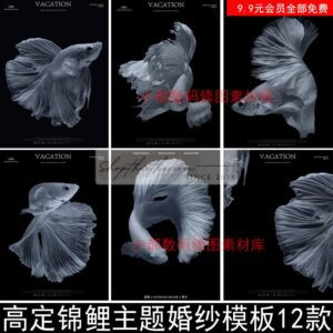 12 Mẫu Cá Khổng Lồ Ghép Ảnh Studio Cập Nhật Mới Từ Taobao (PSD)