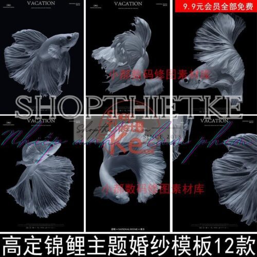 12 Mẫu Cá Khổng Lồ Ghép Ảnh Studio Cập Nhật Mới Từ Taobao (PSD)