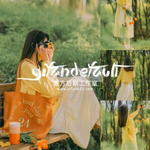 52 Cài Đặt Sẵn Dành Cho Ảnh Chụp Chân Dung Thiên Nhiên Phong Cách Trung Quốc (XMP/DNG/CUBE)