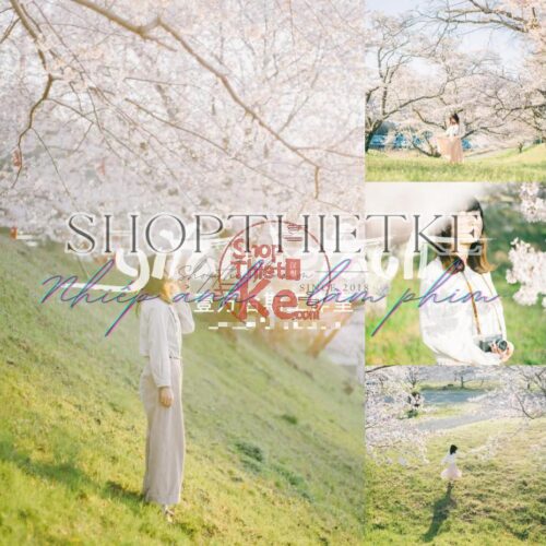 03 Tone Màu Trong Lành, Thanh Khiết Cho Ảnh Chụp Ngoại Cảnh Mùa Xuân (XMP/DNG/CUBE)