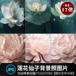 13 Mẫu Background Hoa Sen Thần Tiên Cổ Tích Khổng Lồ Ghép Ảnh Bầu (PSD/JPG)