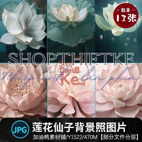13 Mẫu Background Hoa Sen Thần Tiên Cổ Tích Khổng Lồ Ghép Ảnh Bầu (PSD/JPG)