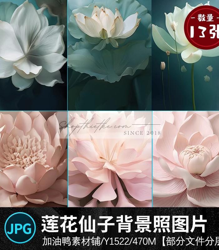 13 Mẫu Background Hoa Sen Thần Tiên Cổ Tích Khổng Lồ Ghép Ảnh Bầu (PSD/JPG)