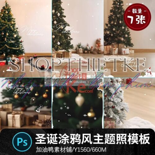 07 Background Giáng Sinh Cây Thông Noel Chất Lượng Ghép Ảnh Studio (PSD)