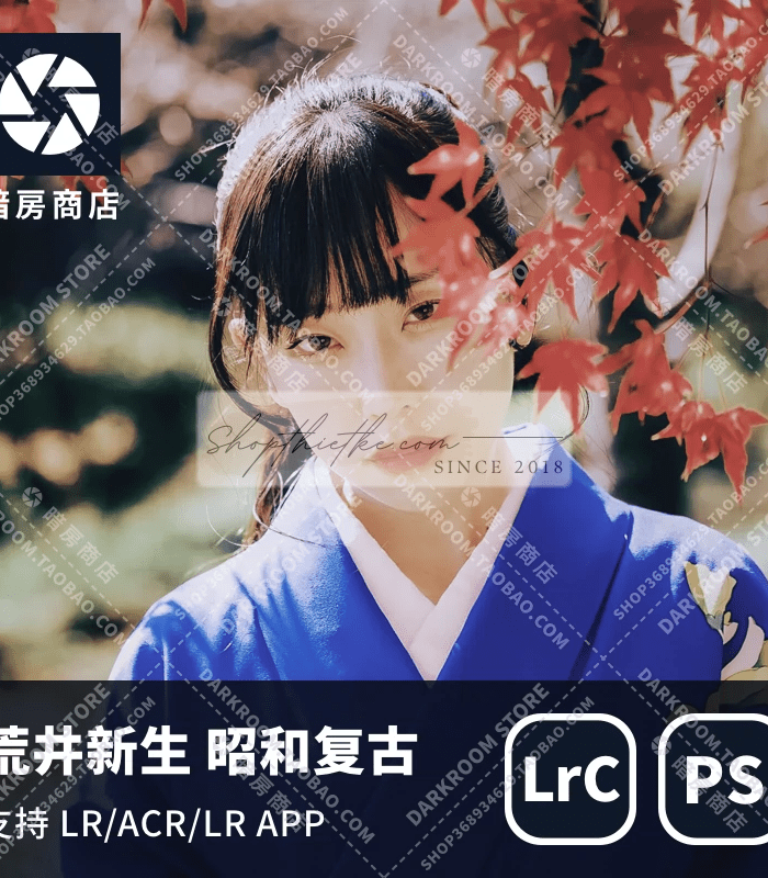 Sản Phẩm Đang Giảm Giá 303 10 Cài Đặt Trước Kèm Profile Tone Màu Cổ Điển Nhật Bản Chân Dung Từ NAG Arai Sinsei (XMP)